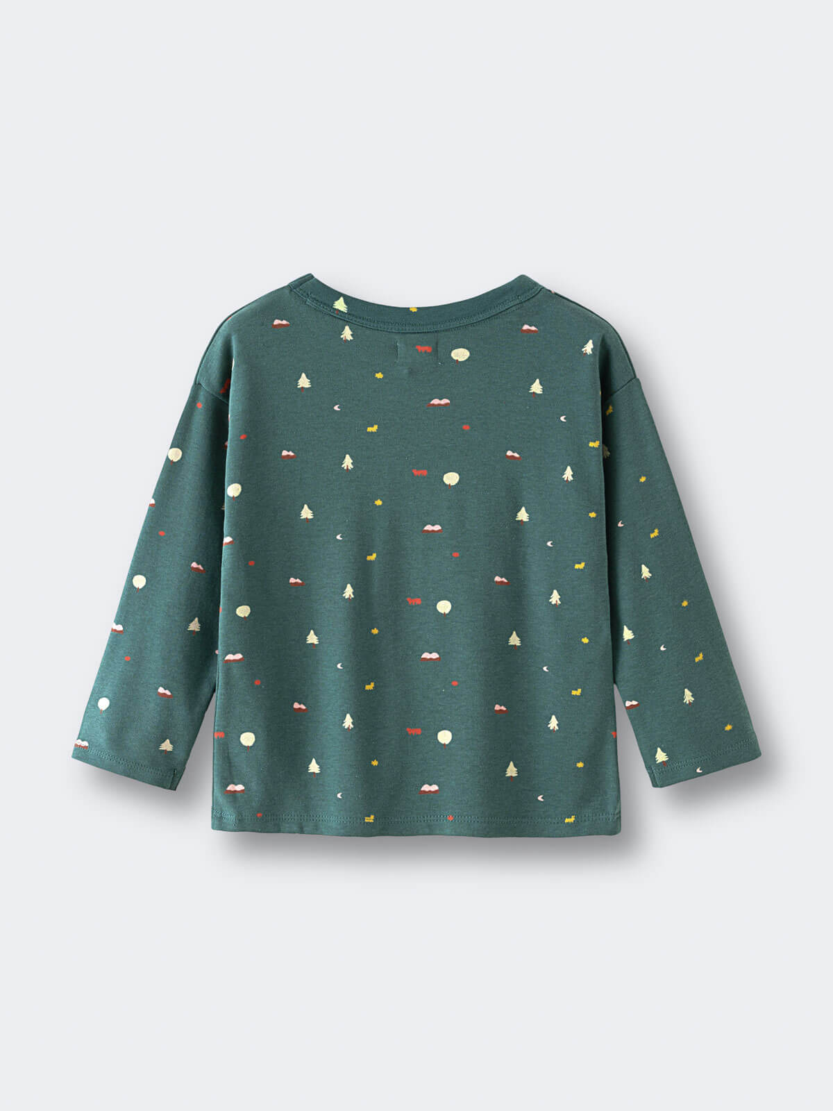 Printed Long Sleeve Tee - Mountain View Balsam