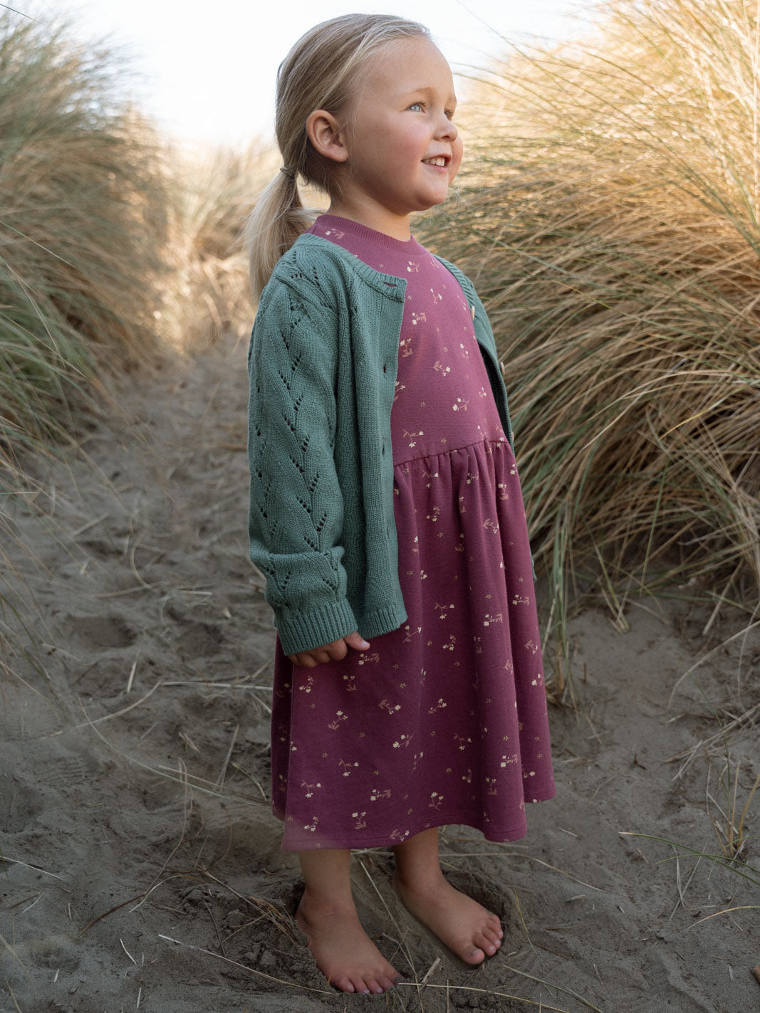 Sweatshirt Dress - Wild Meadow Plum Jam