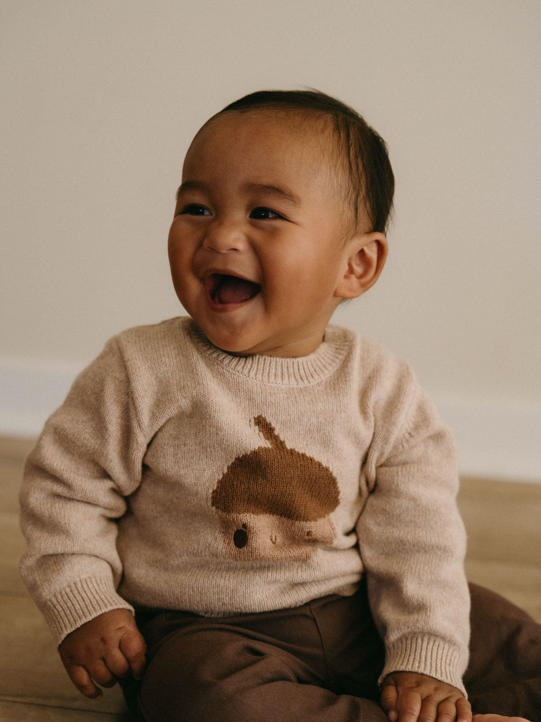 Baby wearing beige sweater with hedgehog design, sitting and smiling Baby Feature Print Jumper - Little Acorn Baby boy