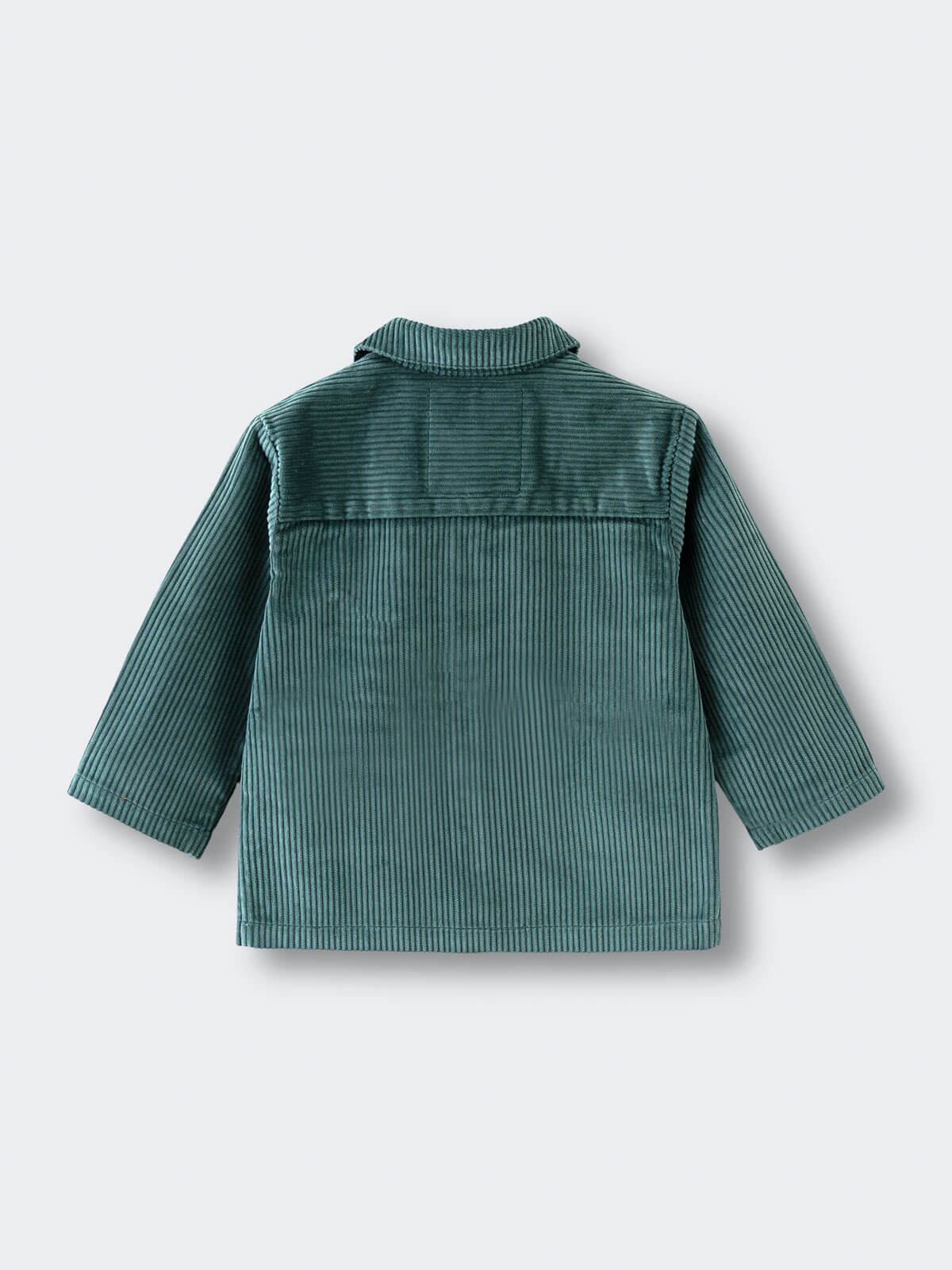 Green corduroy jacket with collar laid flat on light background Corduroy Jacket - Balsam Girls and Boys