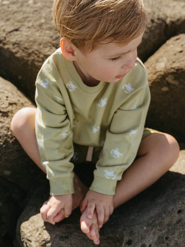 Child wearing a green sweater with floral patterns sitting on rocks. Remi Sweatshirt - Crabby Boys